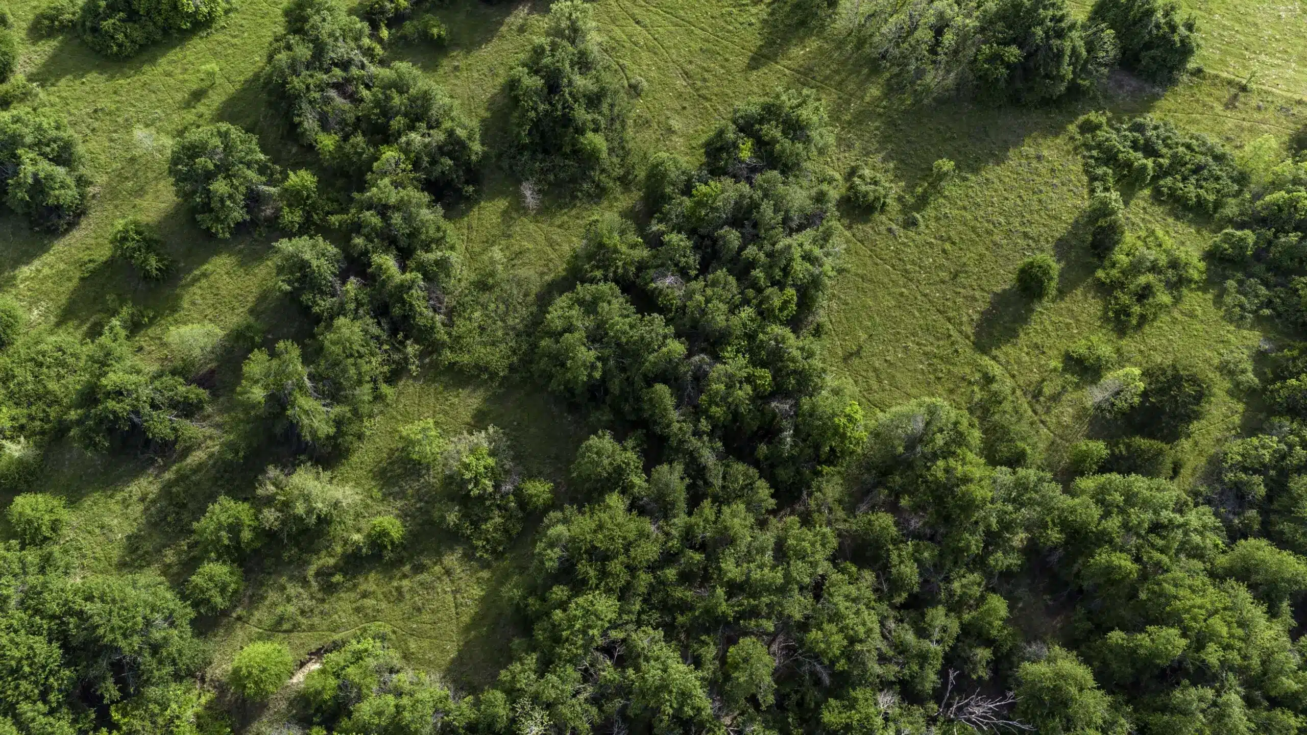 Central Texas land and acreage