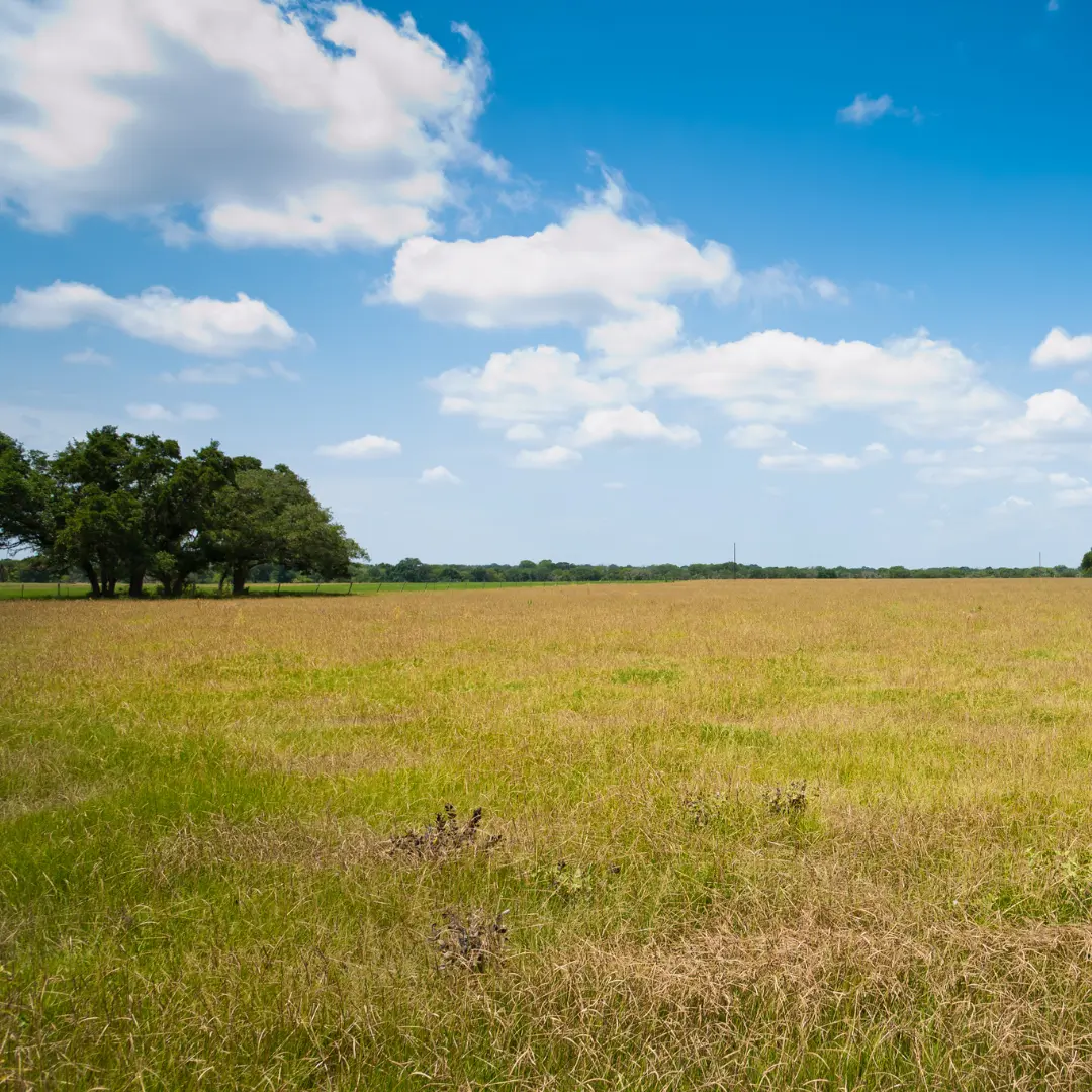 Browse available land