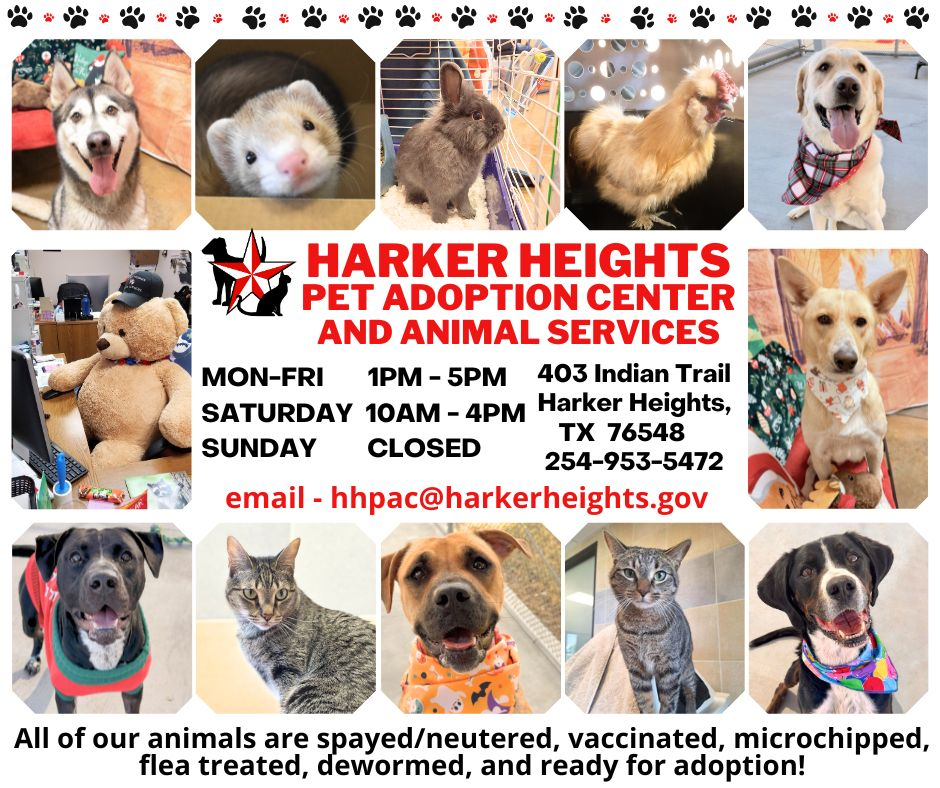 Harker Heights Pet Adoption Center services