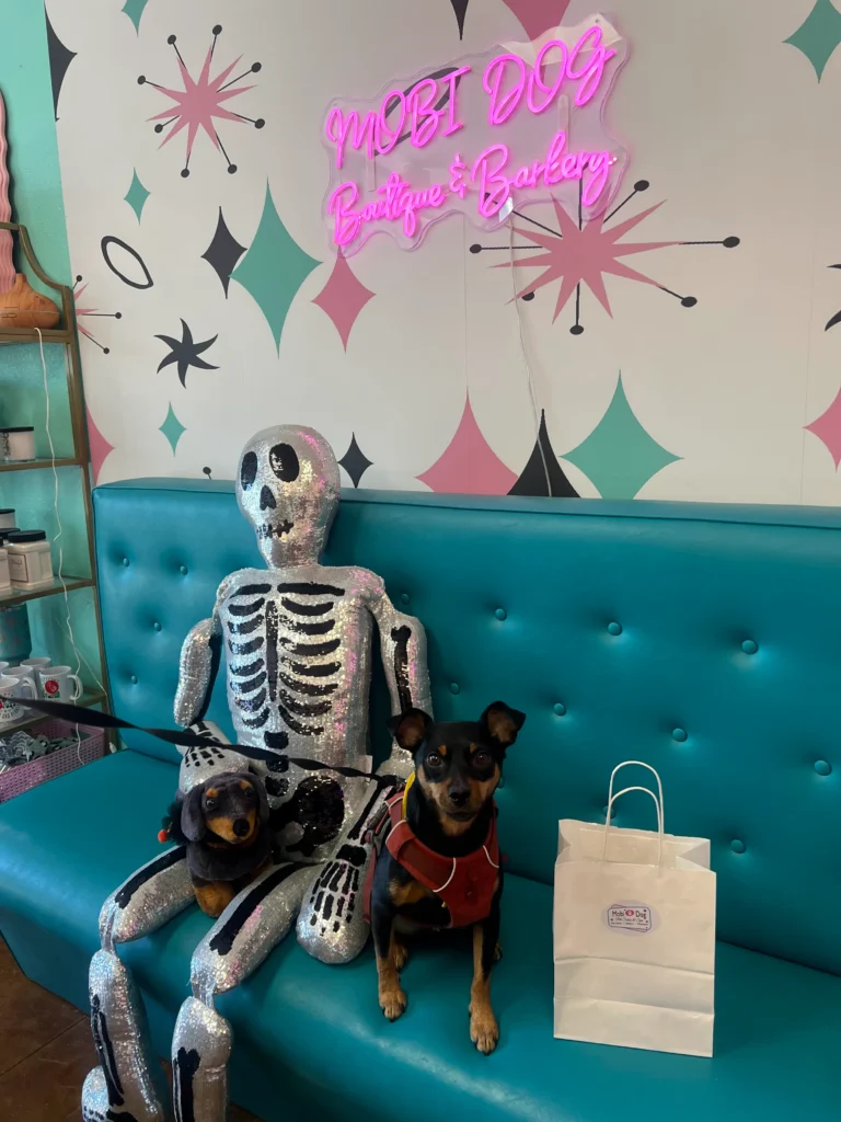 Baxter Ray’s Guide to Central Texas: His Favorite Local Spots 1 Baxter sitting next to a skeleton in Mobi Dog.