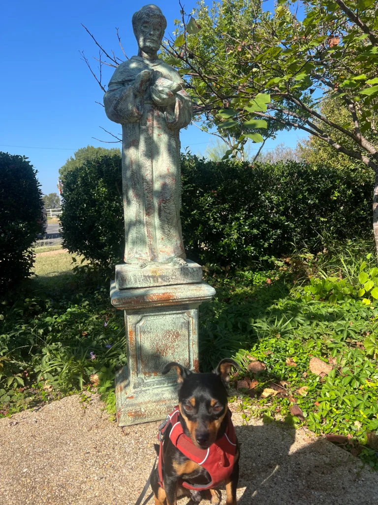 Baxter Ray’s Guide to Central Texas: His Favorite Local Spots 7 Baxter in front of a statue