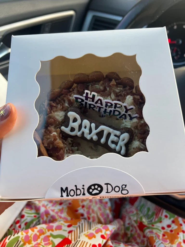 Baxter Ray’s Guide to Central Texas: His Favorite Local Spots 3 Birthday dog cake with Baxters name