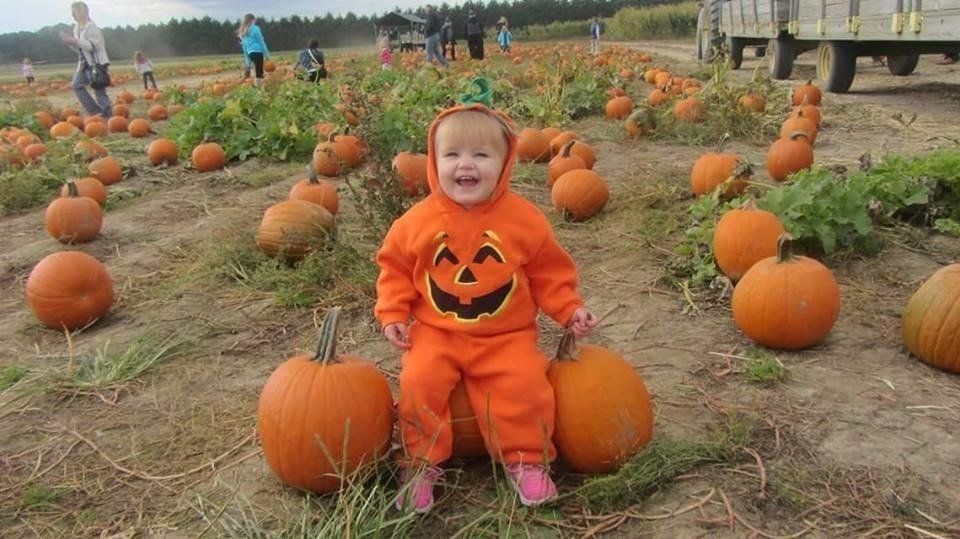 Halloween in Temple, TX 2026: Trunk-or-Treats, Haunted Houses & Family Fun 6 image 2